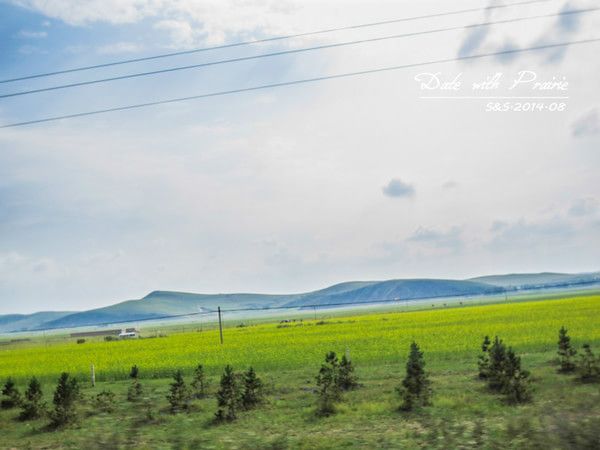 【豐寧壩上】七夕 我和草原有個(gè)約會(huì)
