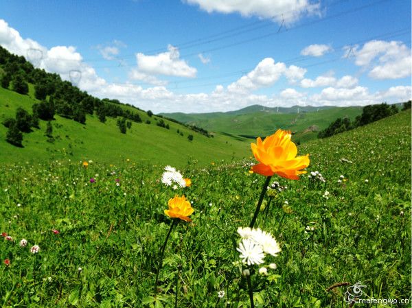 居庸關(guān)長(zhǎng)城 張家口 草原天路 灤河神韻 壩上行