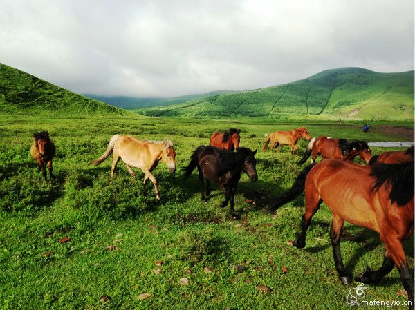 居庸關(guān)長(zhǎng)城 張家口 草原天路 灤河神韻 壩上行