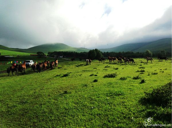 居庸關(guān)長(zhǎng)城 張家口 草原天路 灤河神韻 壩上行