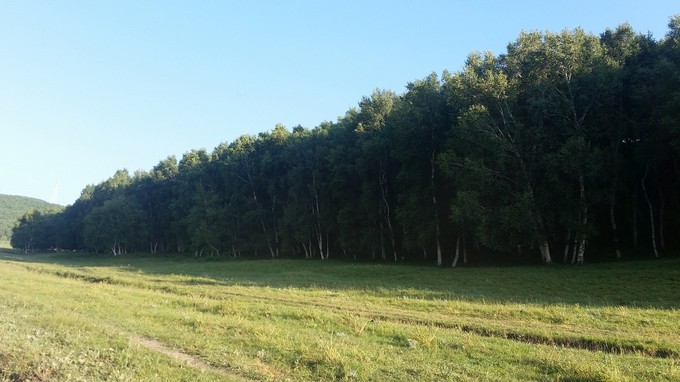 豐寧草原 承德避暑山莊 古水北鎮(zhèn)兩日游
