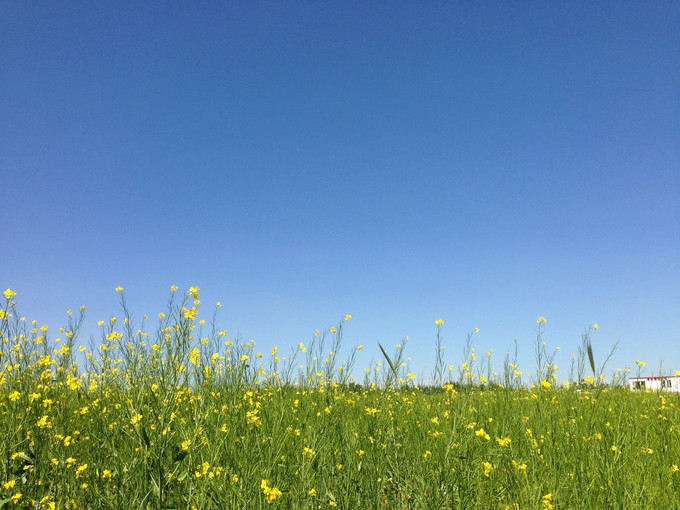 豐寧壩上草原自駕三日游