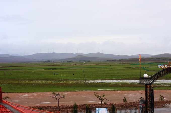豐寧壩上草原旅游+團(tuán)建