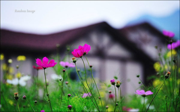 豐寧草原兩日游