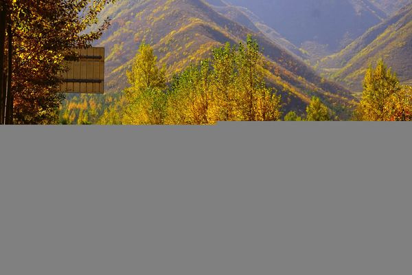 壩上風(fēng)光掠影