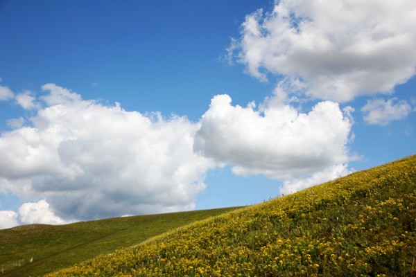 被風(fēng)吹過(guò)的夏天在壩上