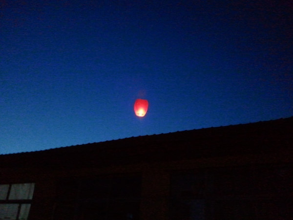 被風(fēng)吹過(guò)的夏天在壩上