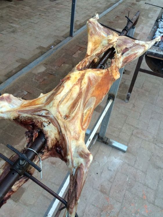 草原的美怎么也愛不夠&mdash;&mdash;豐寧壩上游