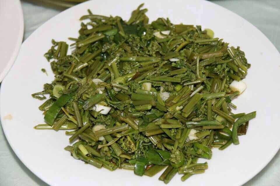 豐寧壩上草原游記