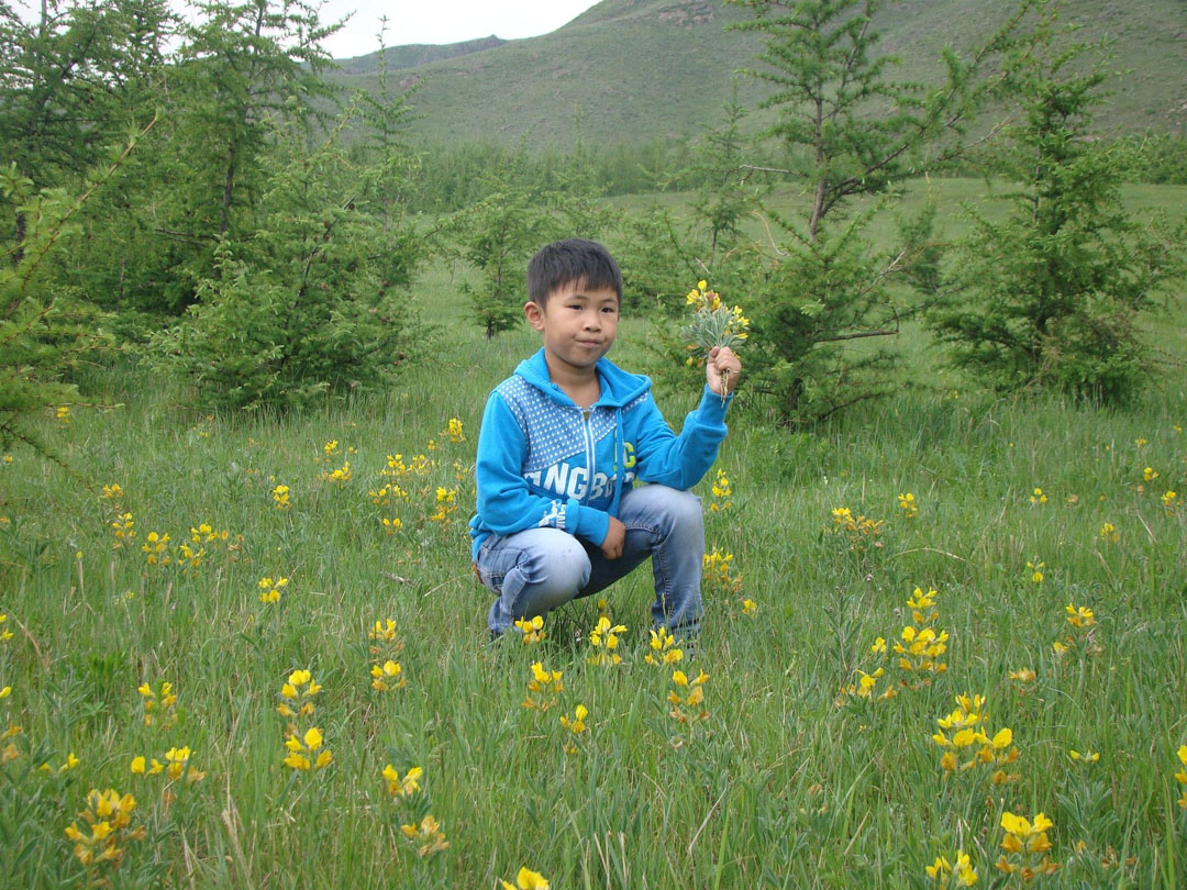 豐寧壩上草原游記