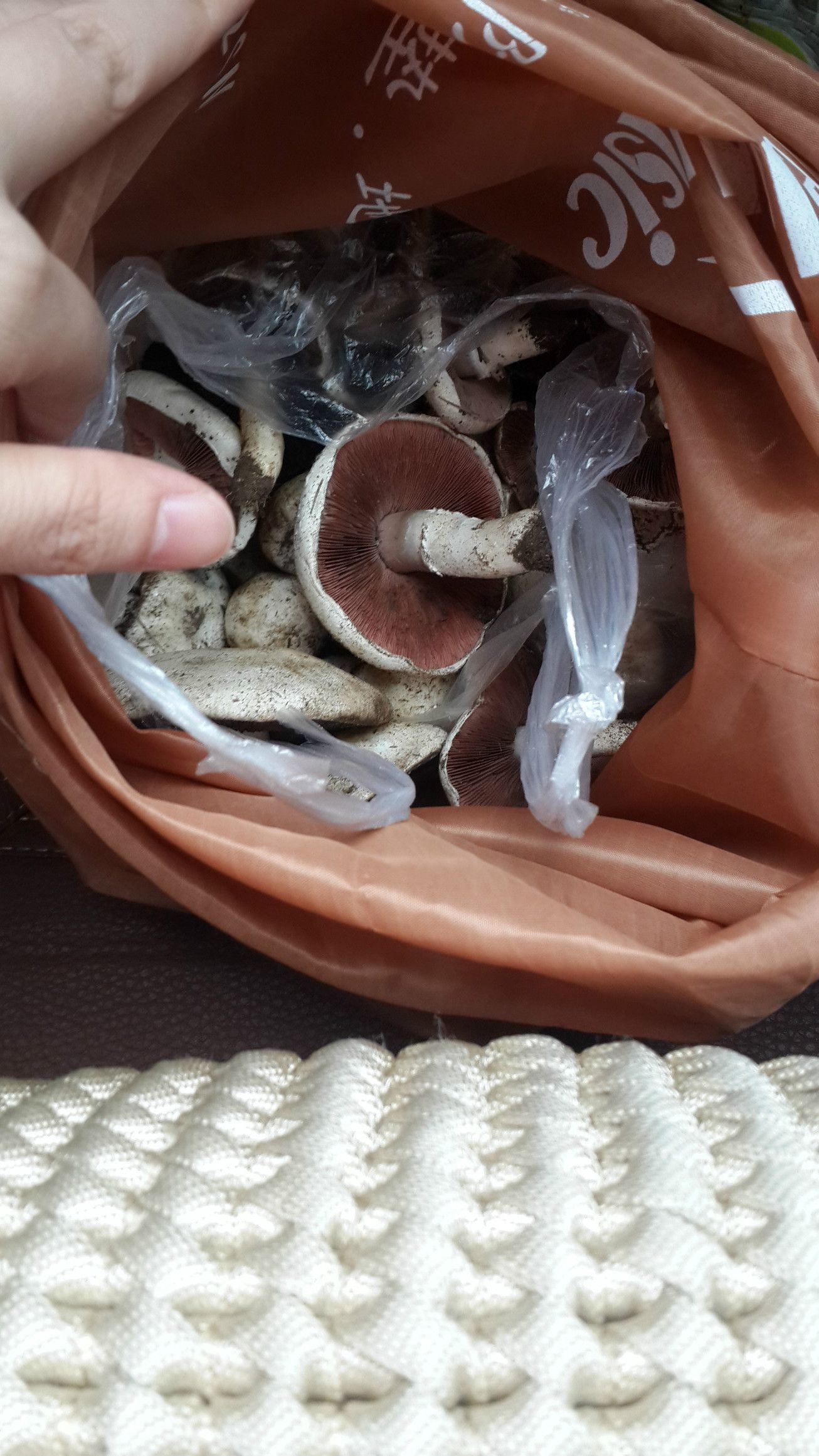 治愈系豐寧壩上兩日游