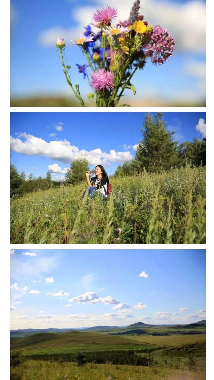 壩上草原的初夏，更像萬物復(fù)蘇的春天