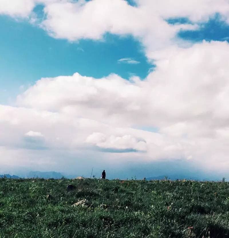 壩上草原的初夏，更像萬物復(fù)蘇的春天