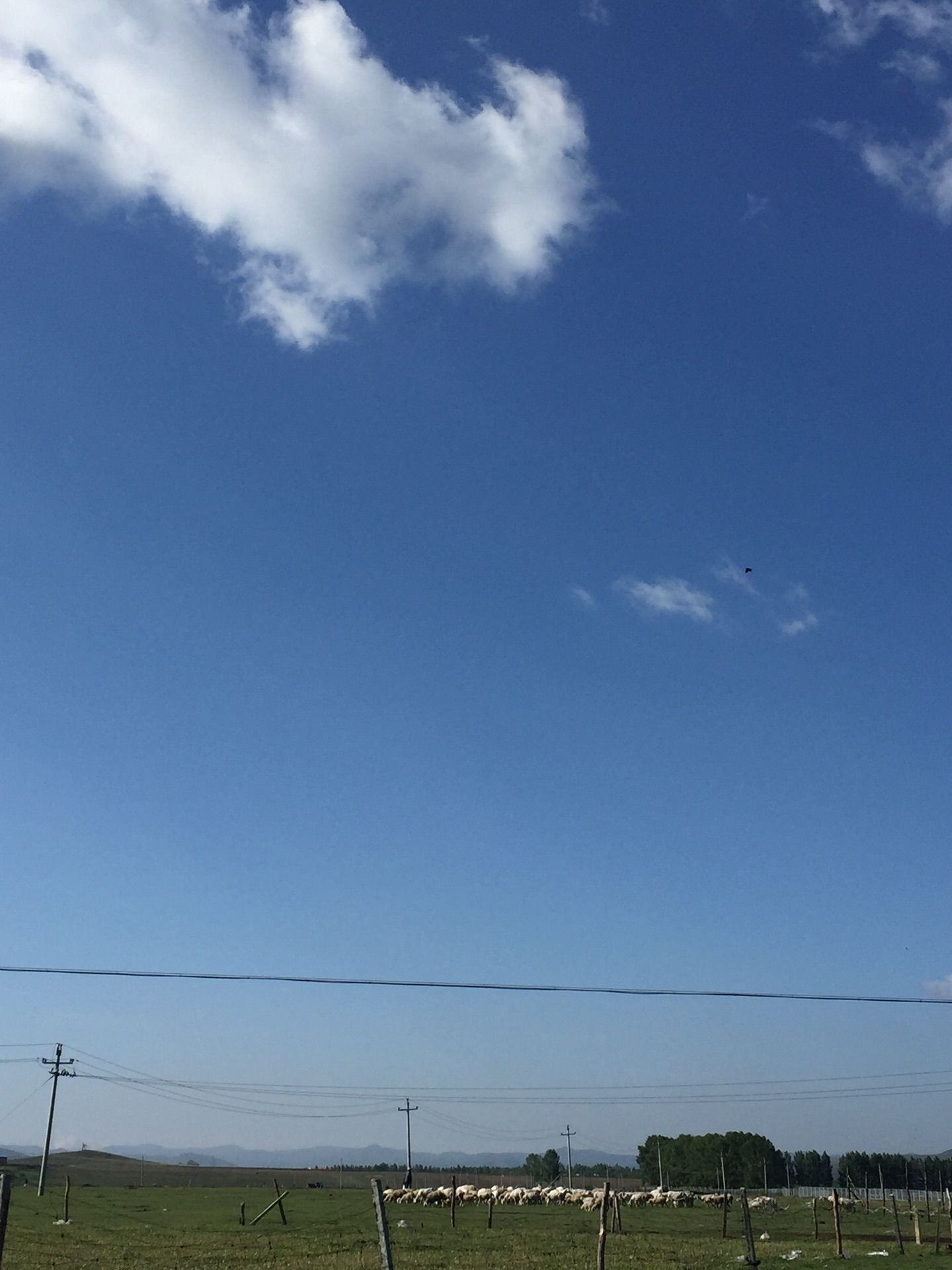 迎風(fēng)而來，我在草原等你