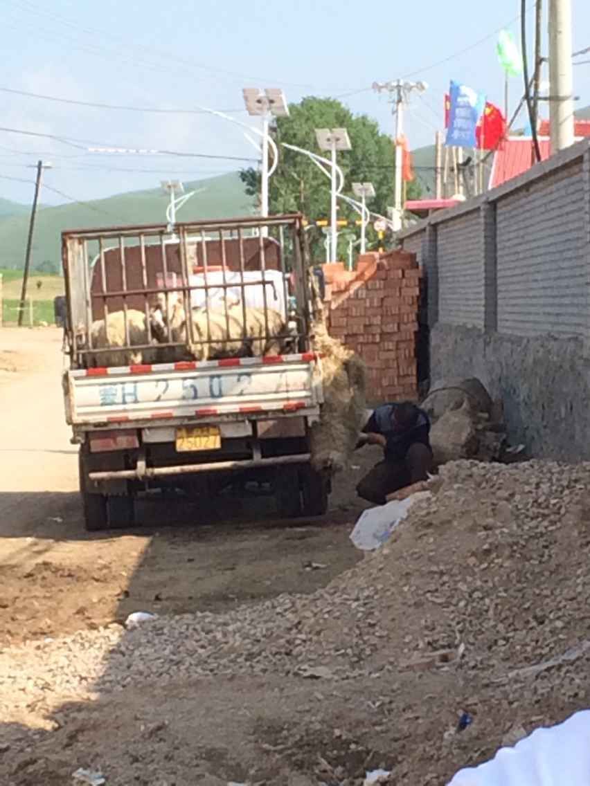 世界那么大我們?nèi)タ纯?-豐寧壩上2日游