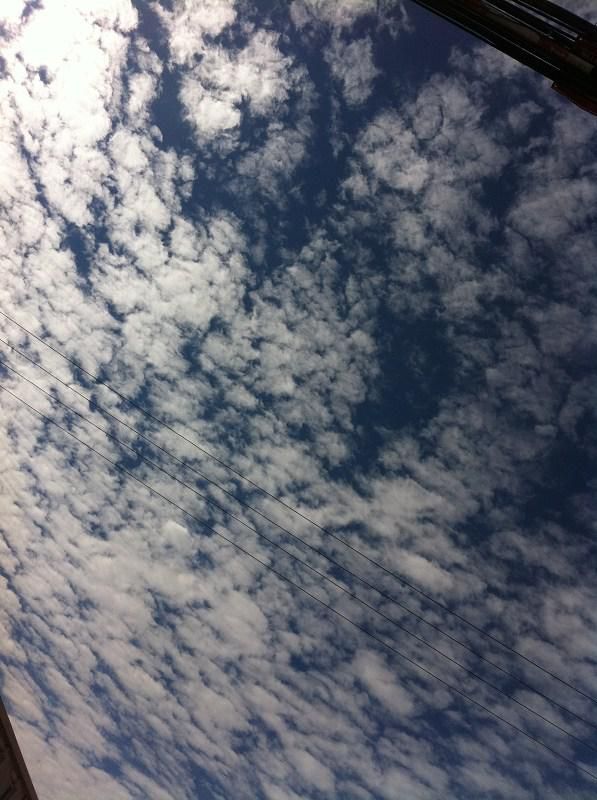 豐寧壩上草原自駕游&mdash;愛(ài)開(kāi)始的地方