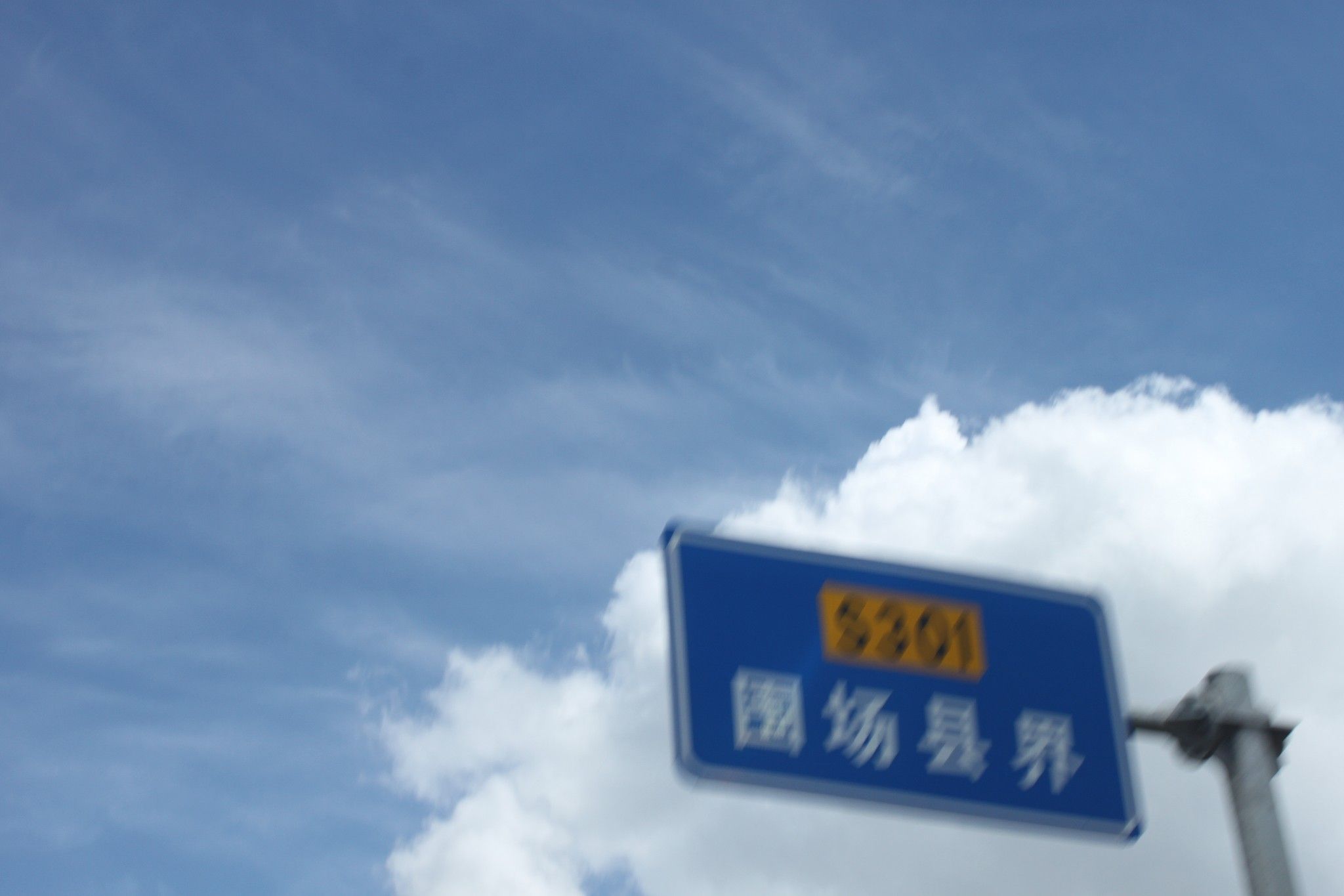 圍場壩上的路云花