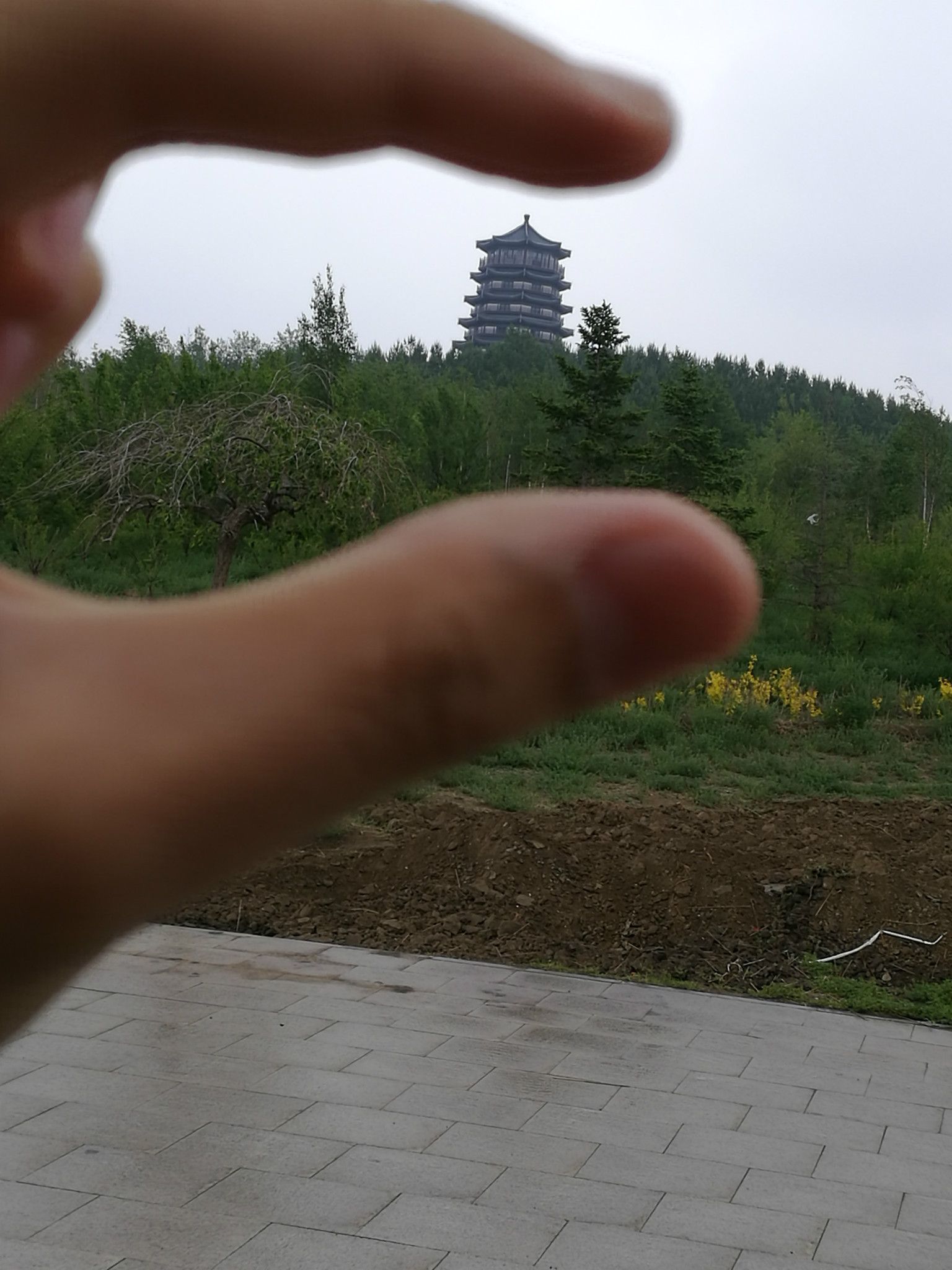 張北草原