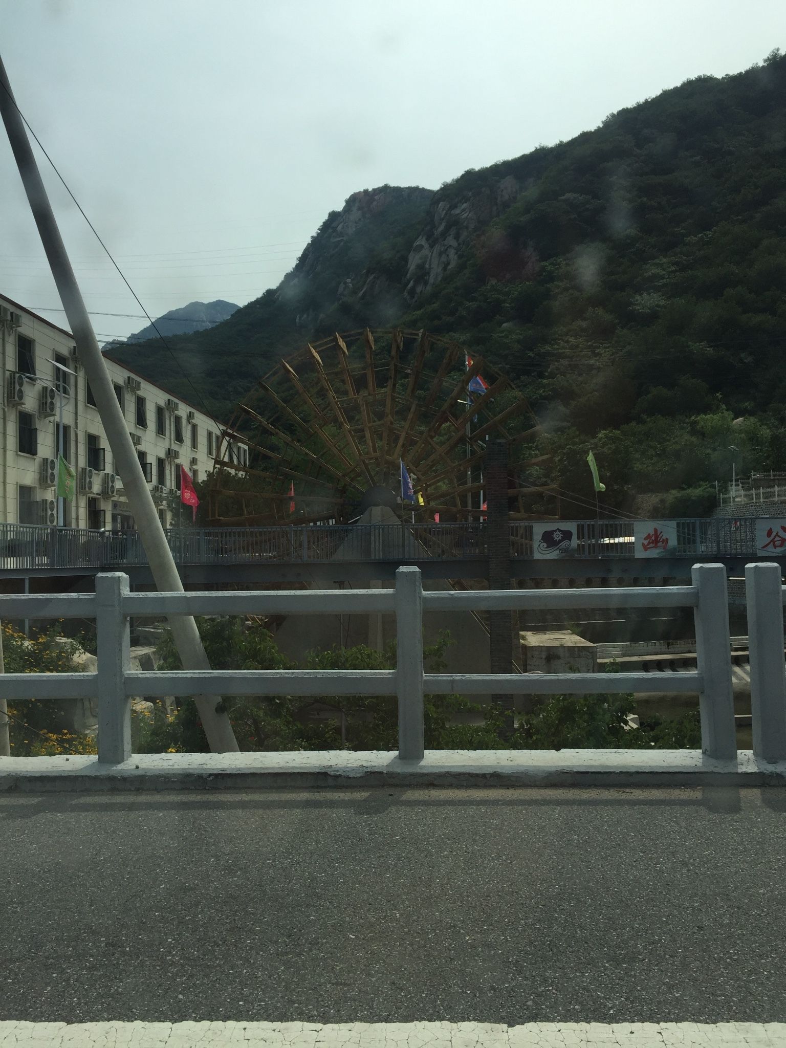 帶著寵物去壩上避暑吧！