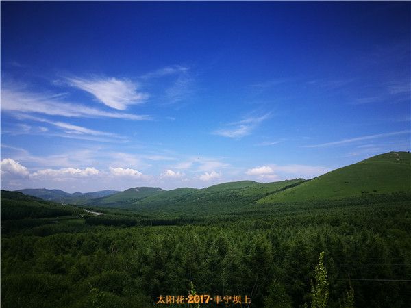 豐寧京北草原