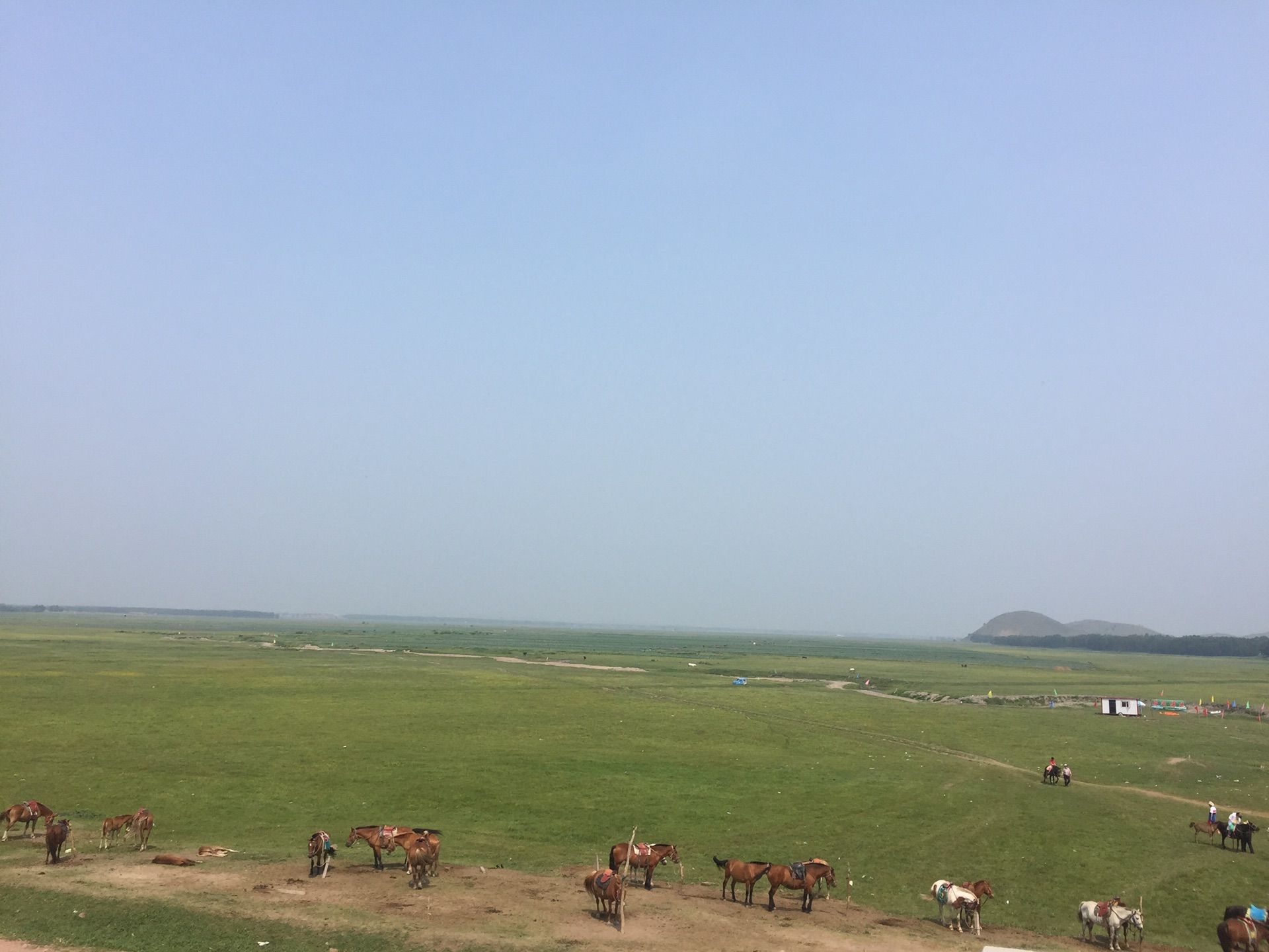 壩上草原&mdash;&mdash;全家總動(dòng)員