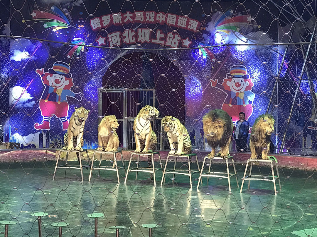 豐寧壩上草原,豐寧京北草原