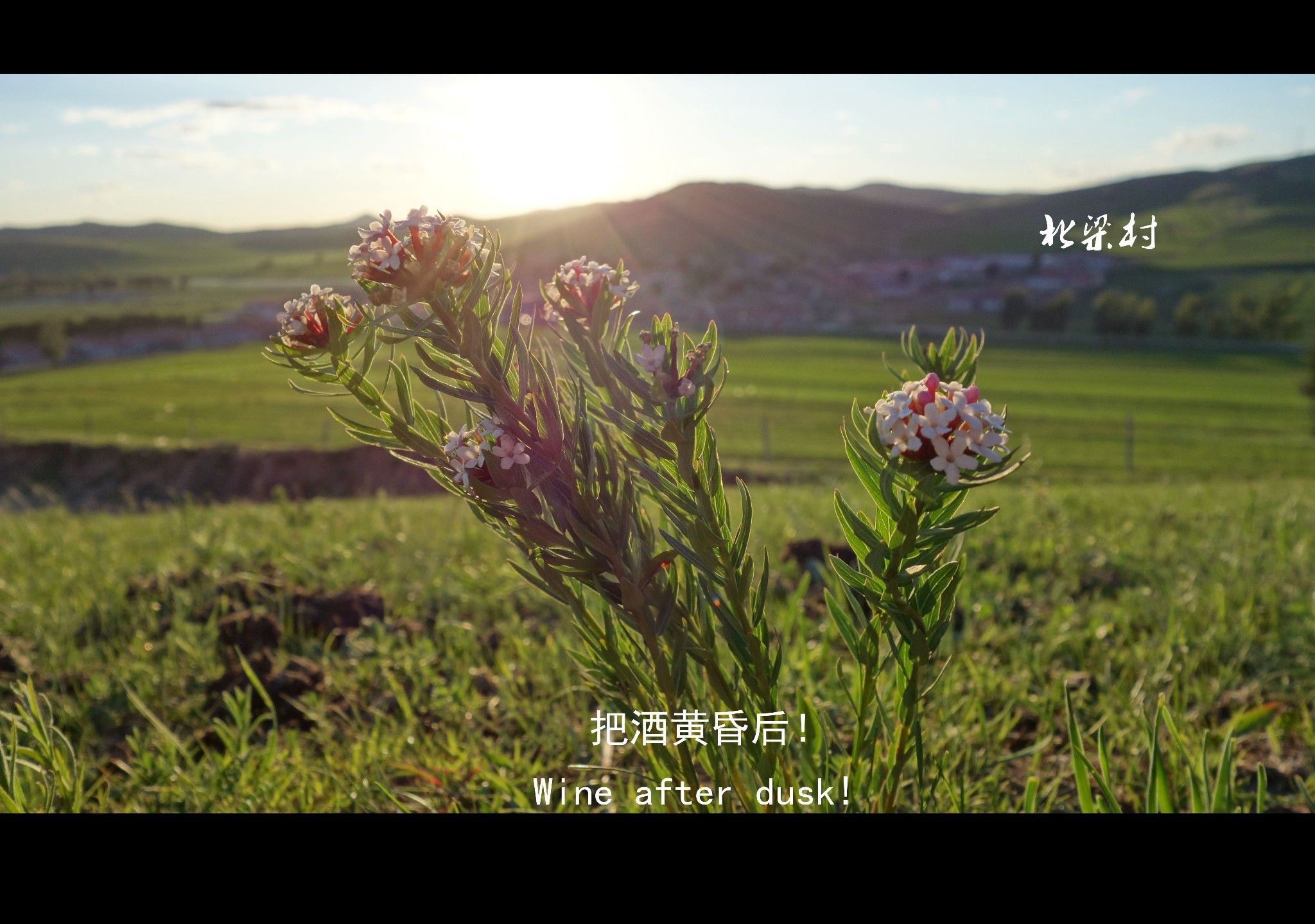 豐寧壩上草原,豐寧京北草原