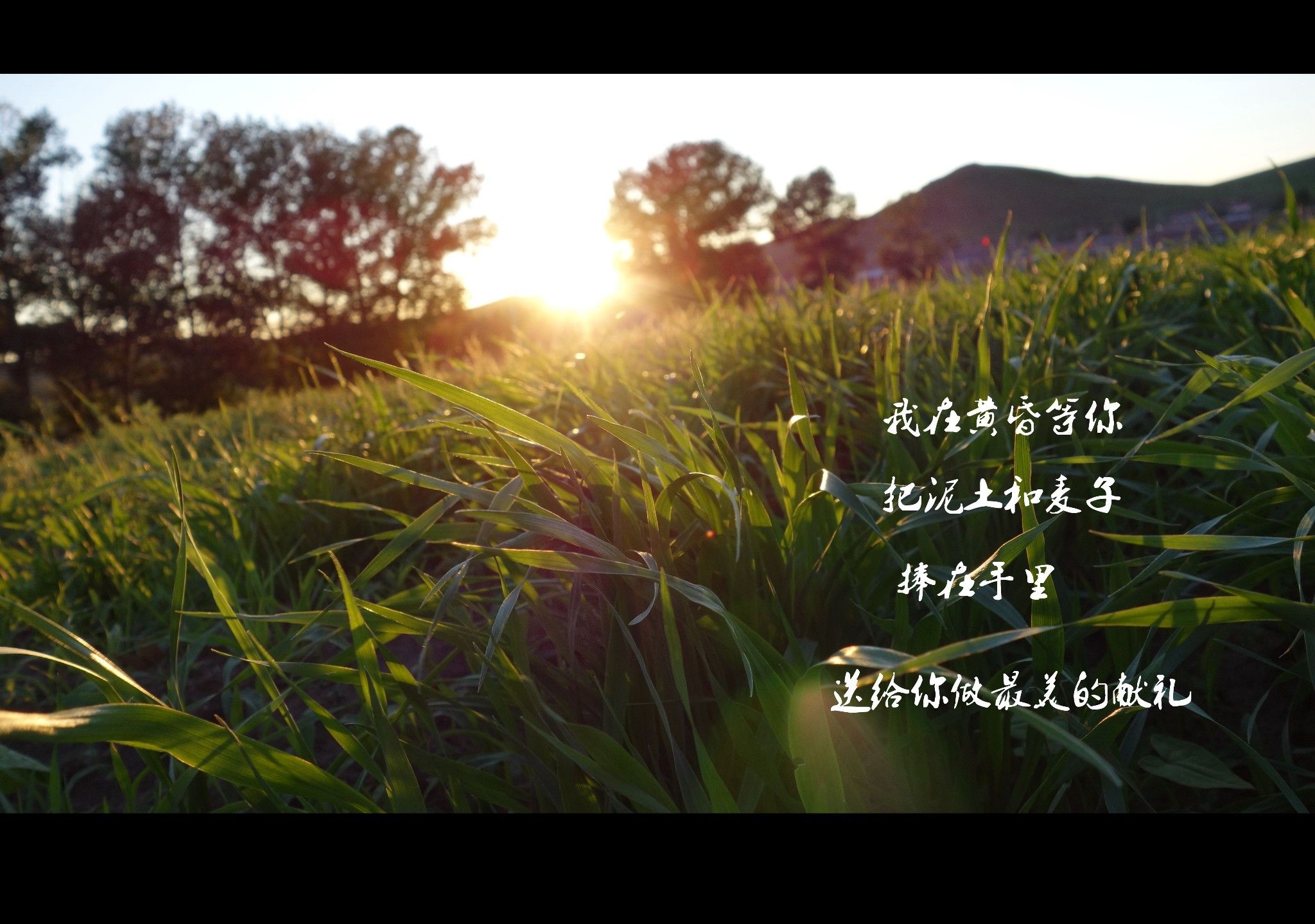 豐寧壩上草原,豐寧京北草原