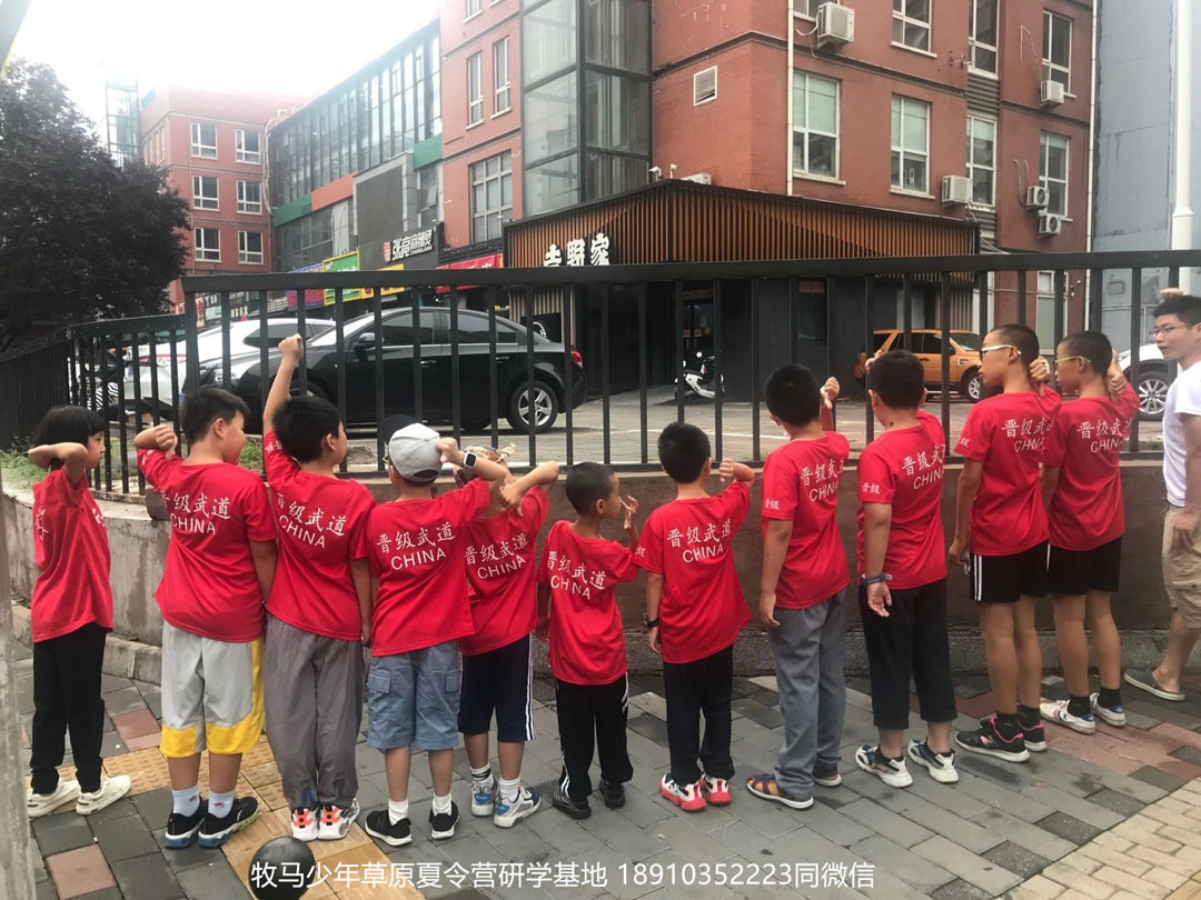 晉極武道館 松柏武道館草原研學(xué)夏令營(yíng)