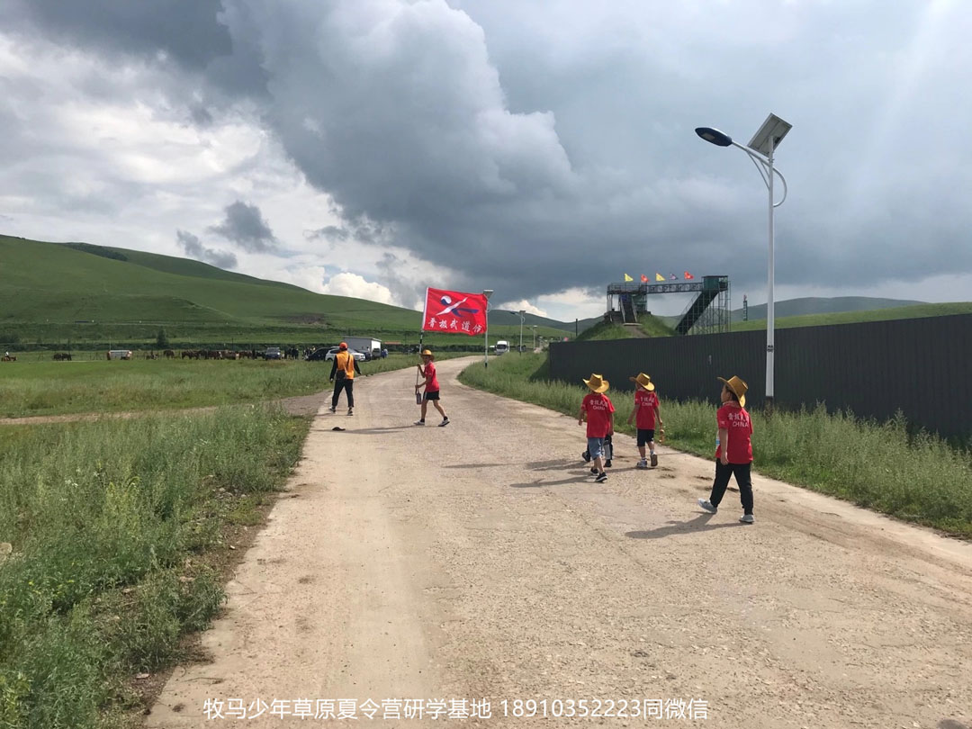 晉極武道館 松柏武道館草原研學(xué)夏令營(yíng)