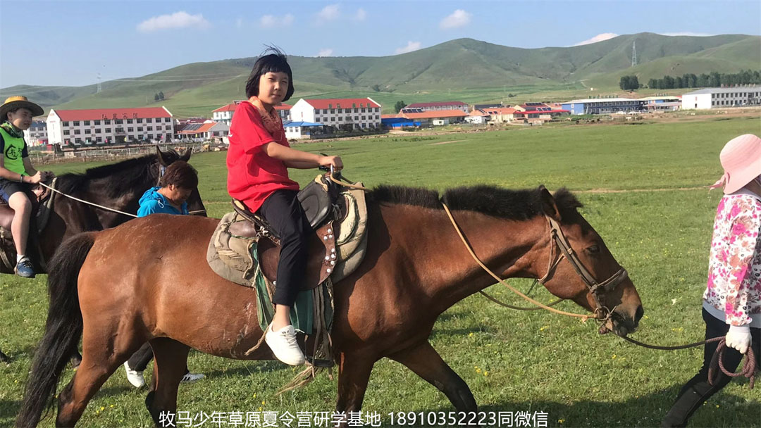 晉極武道館 松柏武道館草原研學(xué)夏令營(yíng)
