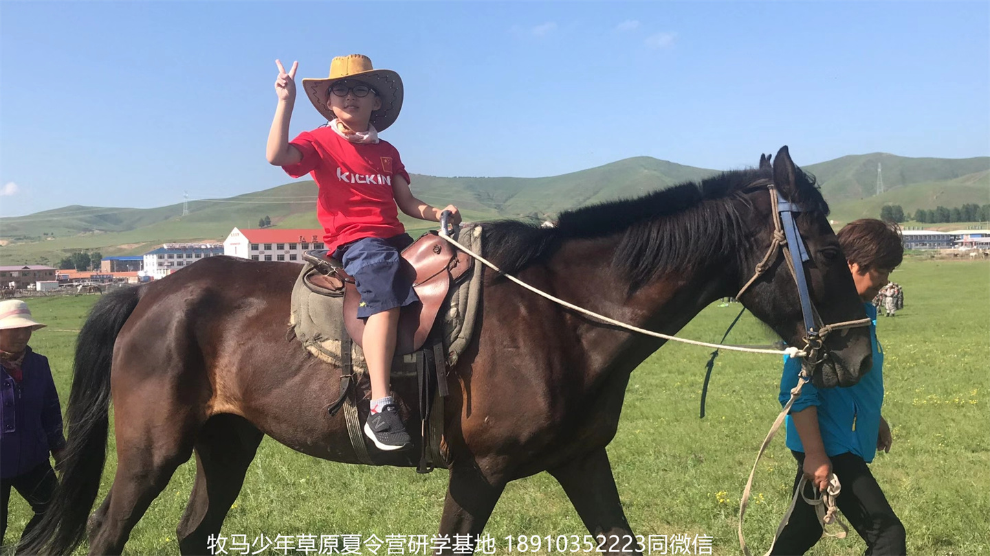 晉極武道館 松柏武道館草原研學(xué)夏令營(yíng)