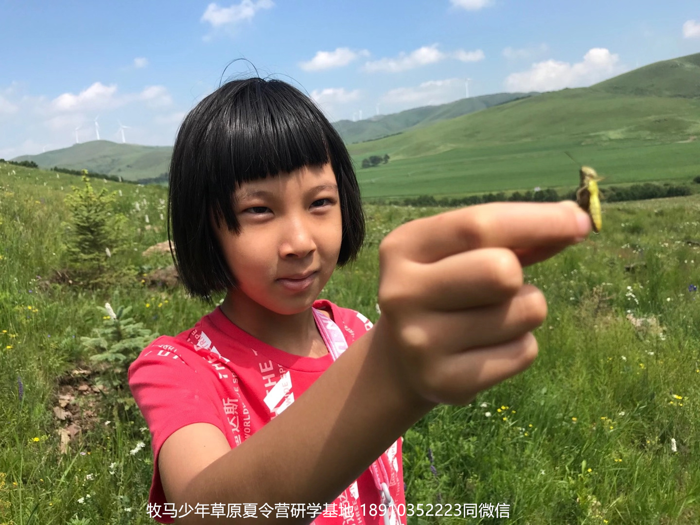 晉極武道館 松柏武道館草原研學(xué)夏令營(yíng)