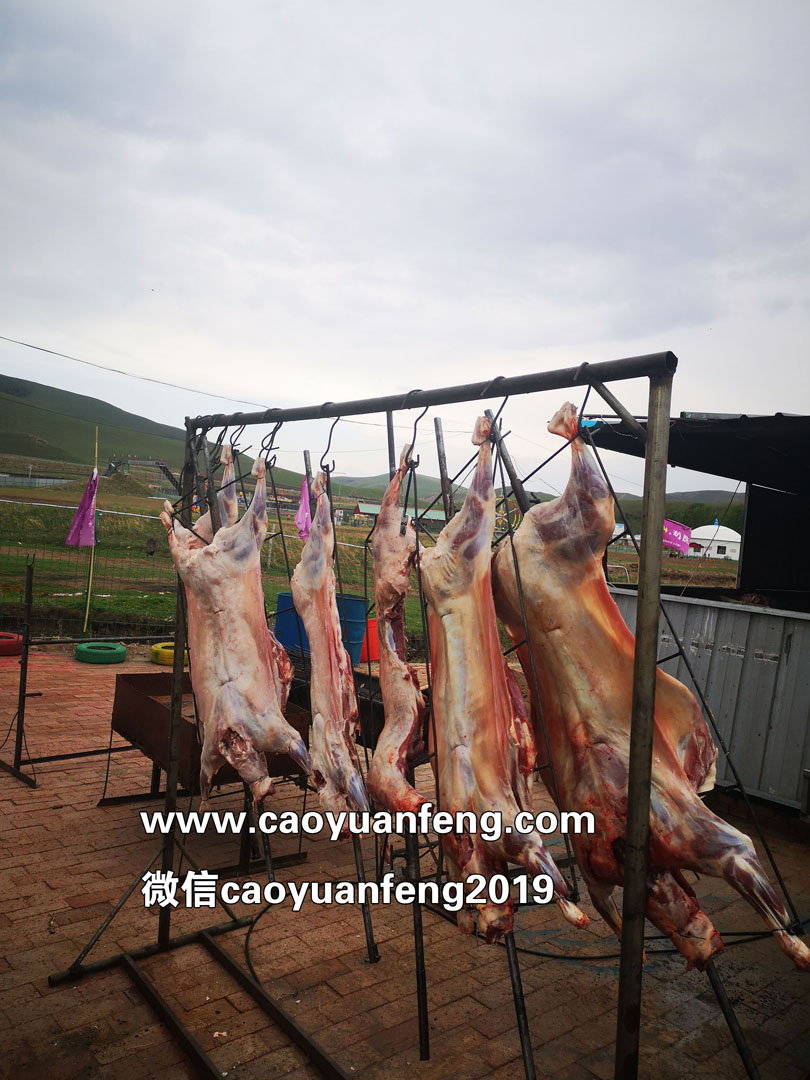 壩上特色烤全羊