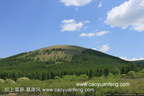 壩上柳樹溝風(fēng)景