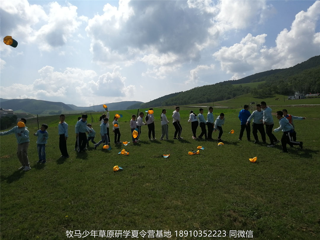 山東德州名師藝術(shù)教育壩上草原研學(xué)夏令營(yíng)