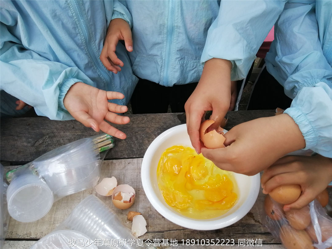山東德州名師藝術(shù)教育壩上草原研學(xué)夏令營(yíng)