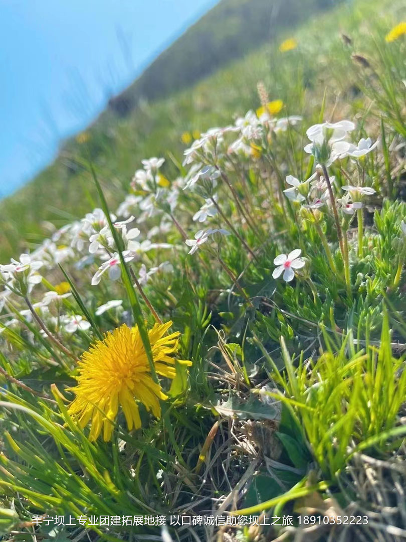 華為公司5月豐寧壩上團建3日游 