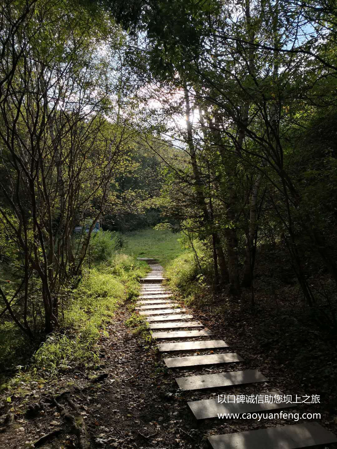 百里天路 京北第一天路 千松壩森林公園