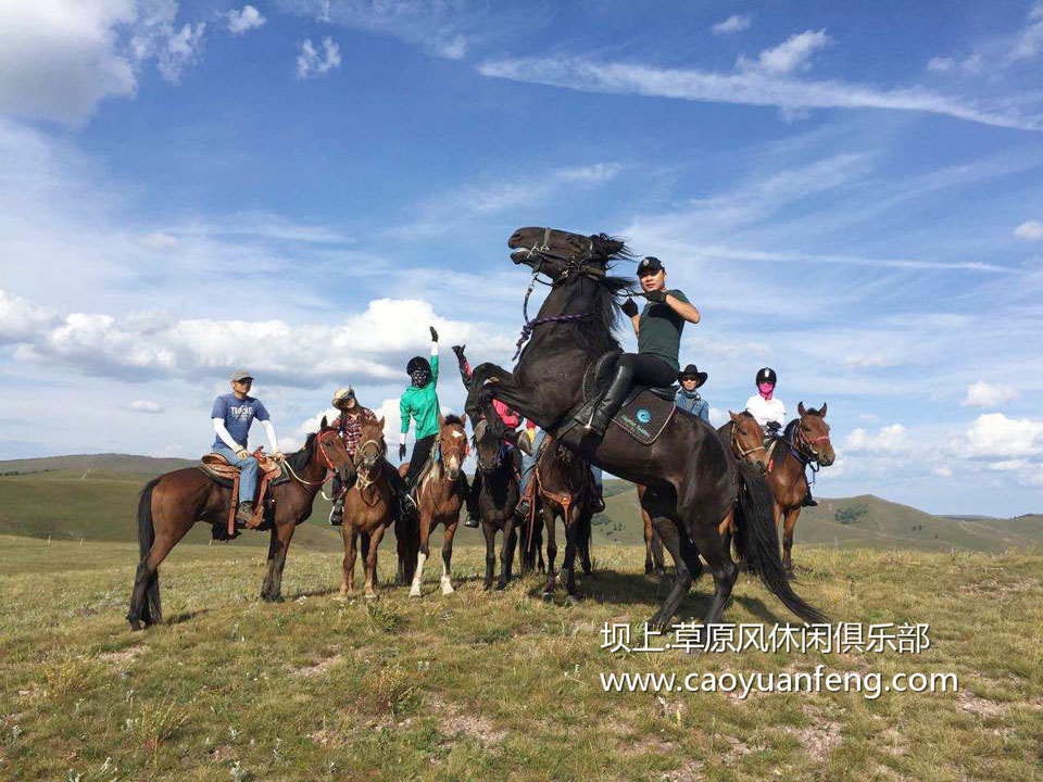 草原騎馬_騎馬注意事項(xiàng)_壩上騎馬價(jià)格_騎馬照片_騎馬教學(xué)視頻
