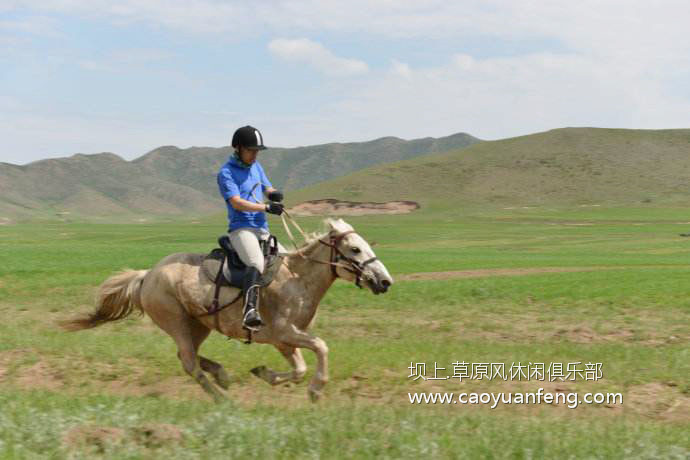 【獨(dú)家】壩上草原騎馬注意事項(xiàng) 騎手精心總結(jié)
