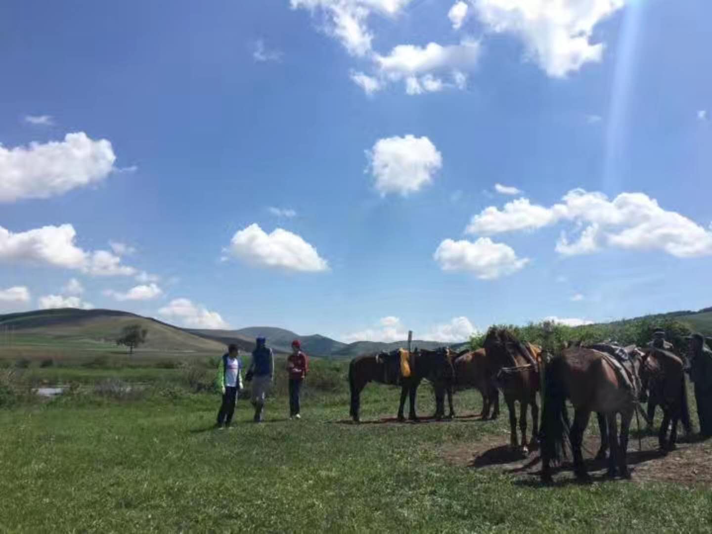 壩上親子小包團游客點評 壩上親子小包團游客點評