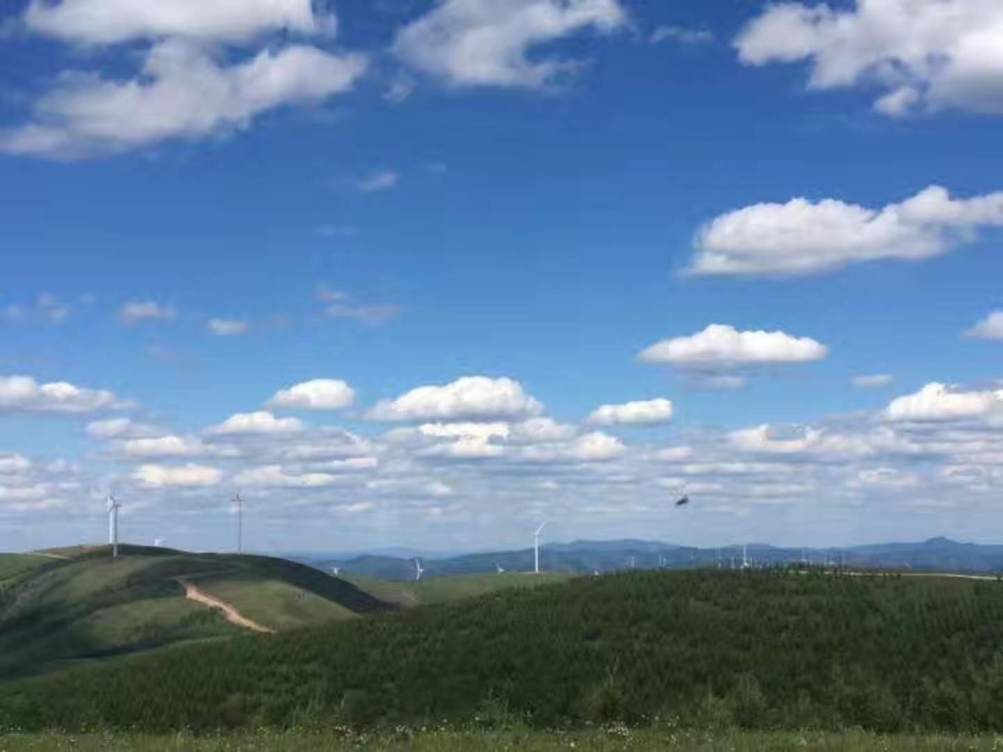 壩上親子小包團游客點評 壩上親子小包團游客點評