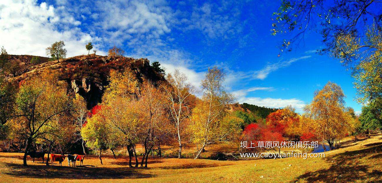 壩上風(fēng)光美景之秋季攝影