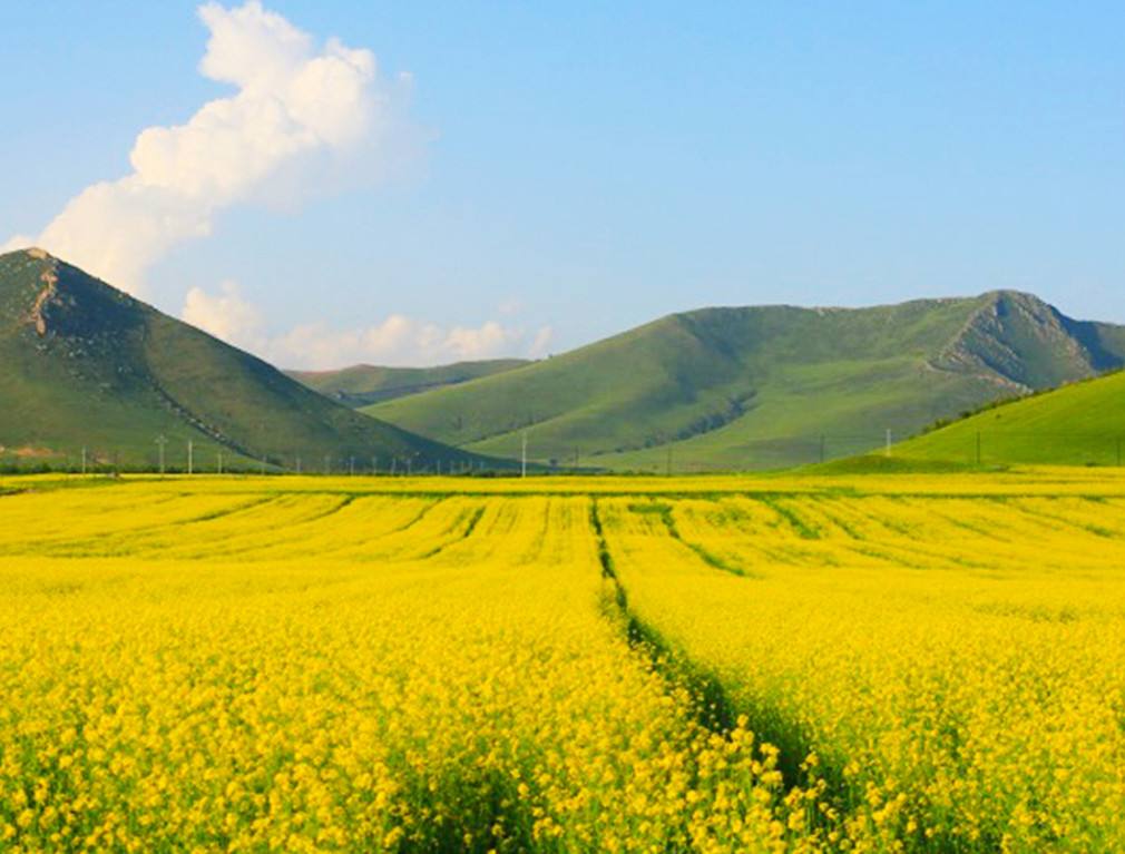 神仙谷七彩森林風(fēng)景