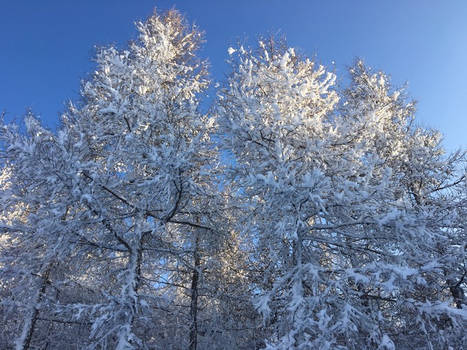 冰雪天路行 草原天路旅游攻略