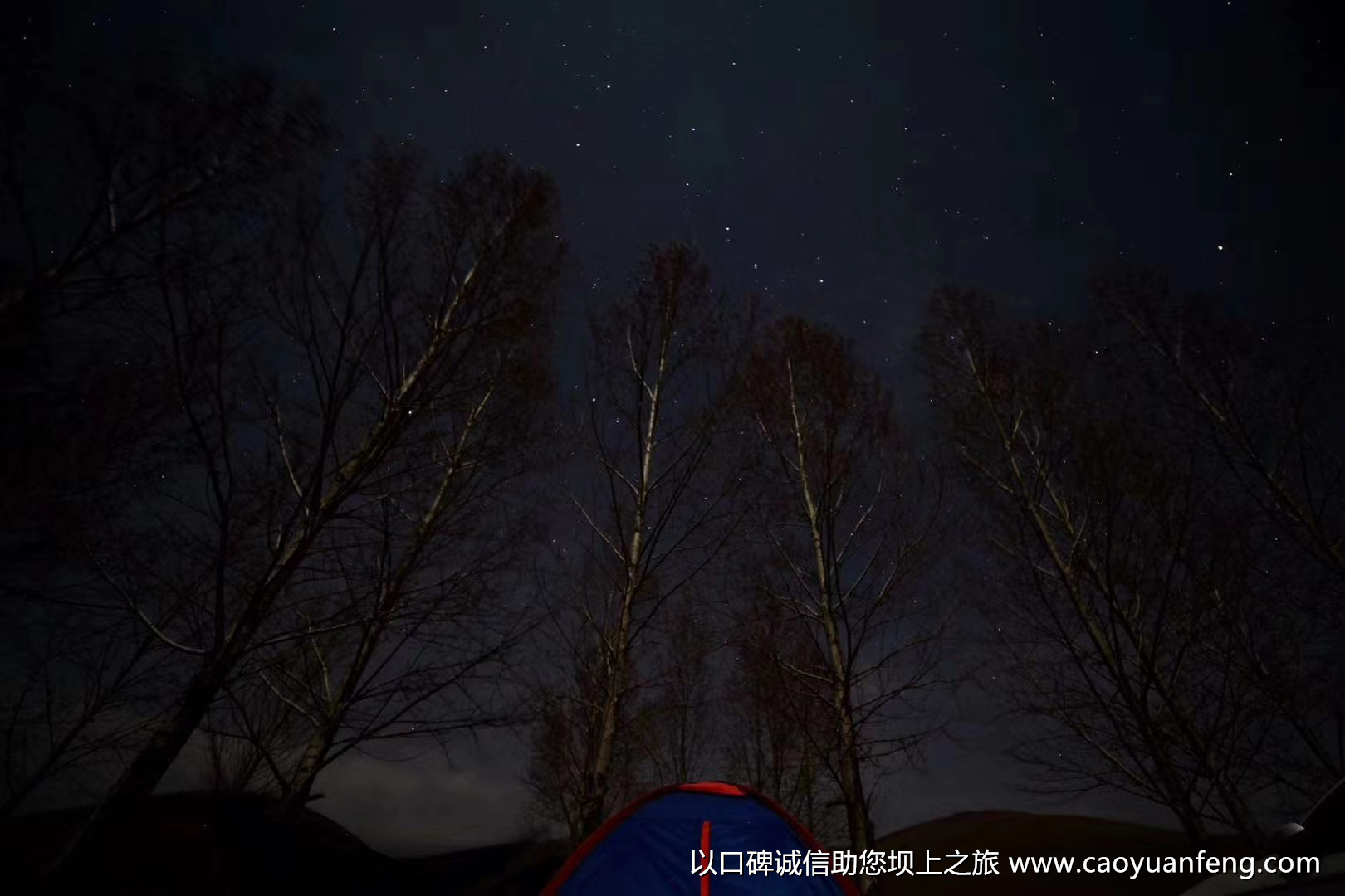 五一壩上草原游玩小伙伴