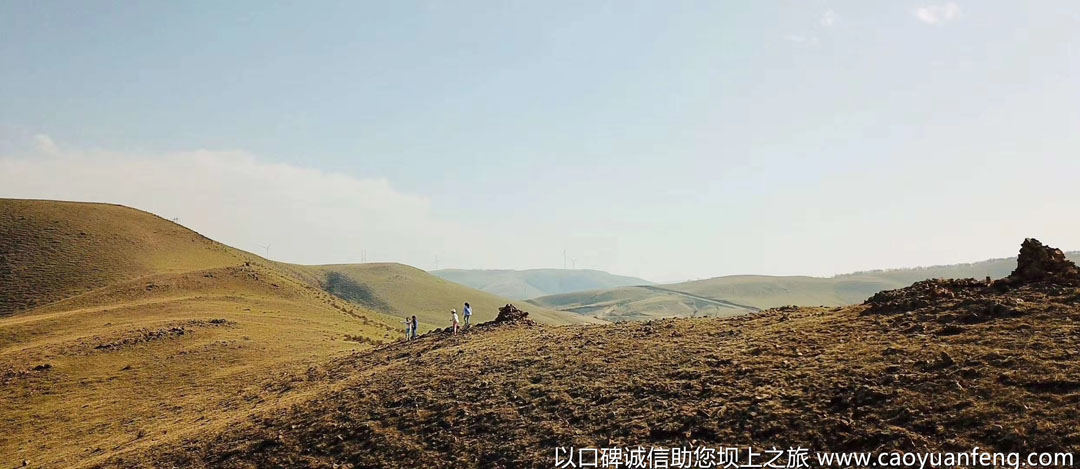 五一壩上草原游玩小伙伴