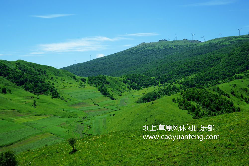 壩上風(fēng)光美景之夏季攝影暑期