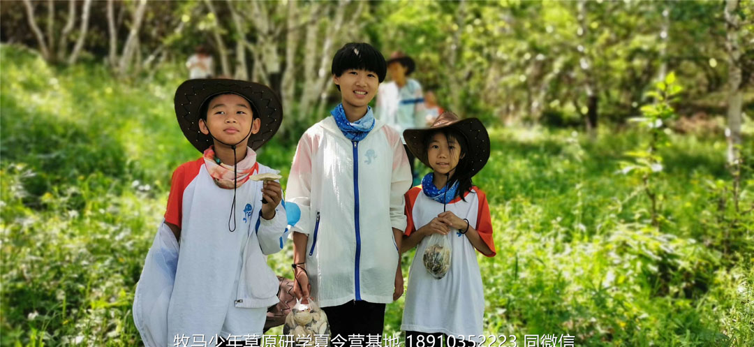 山東濟(jì)南小海豚牧馬少年草原夏令營(yíng)